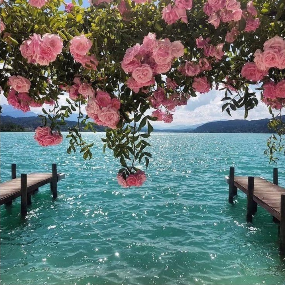 Meet your Posher, Ada